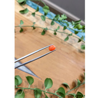 1.10 Ct. Orange Cabochon Coral from Italy Life Style