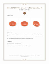 0.78 Ct. Salmon (Orange) Cabochon Coral from Italy Appraisal