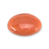 0.78 Ct. Orange Cabochon Coral from Italy Video