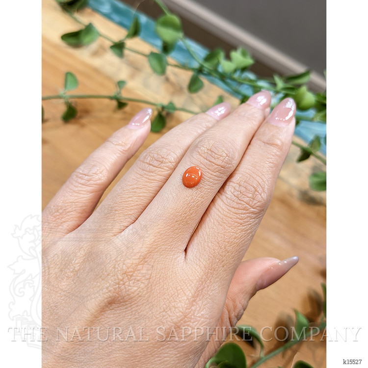 0.78 Ct. Orange Cabochon Coral from Italy