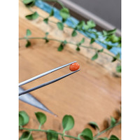 0.78 Ct. Orange Cabochon Coral from Italy Life Style
