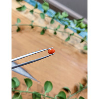 0.66 Ct. Orangish Red Cabochon Coral from Italy Life Style