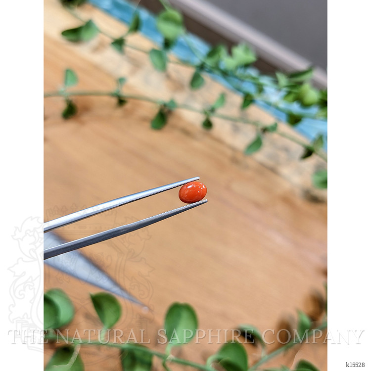 0.66 Ct. Orangish Red Cabochon Coral from Italy