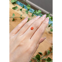 0.66 Ct. Orangish Red Cabochon Coral from Italy Life Style