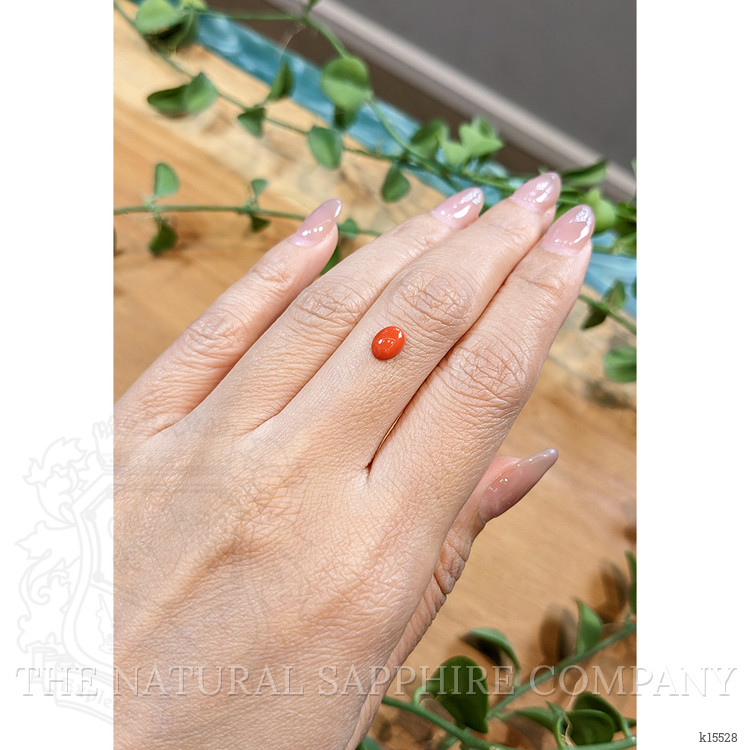 0.66 Ct. Orangish Red Cabochon Coral from Italy