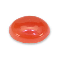 0.18 Ct. Orangish Red Cabochon Coral from Italy Video