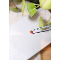 0.18 Ct. Orangish Red Cabochon Coral from Italy Life Style