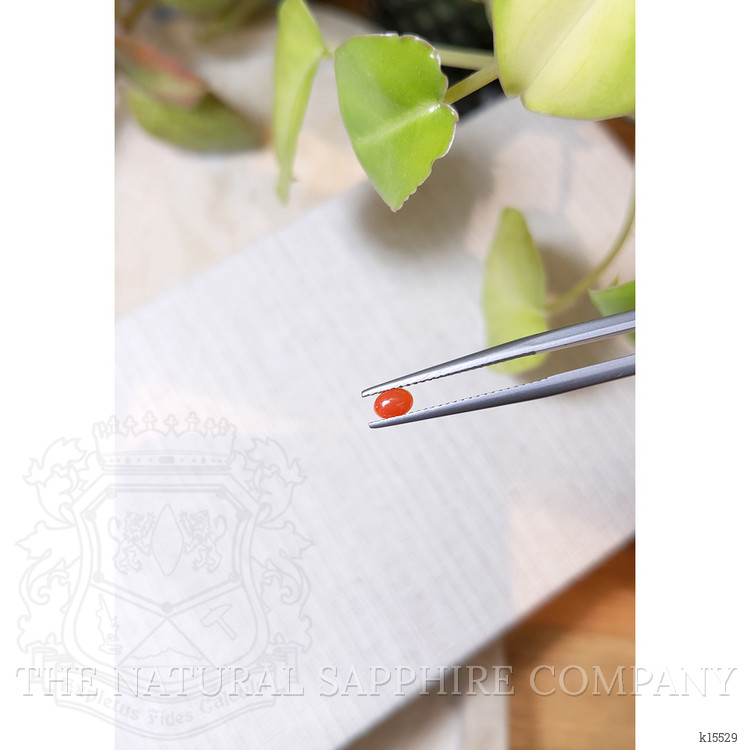 0.18 Ct. Orangish Red Cabochon Coral from Italy