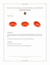 6.29 Ct. Orange Cabochon Coral from Italy Appraisal