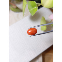 4.27 Ct. Orange Cabochon Coral from Italy Life Style
