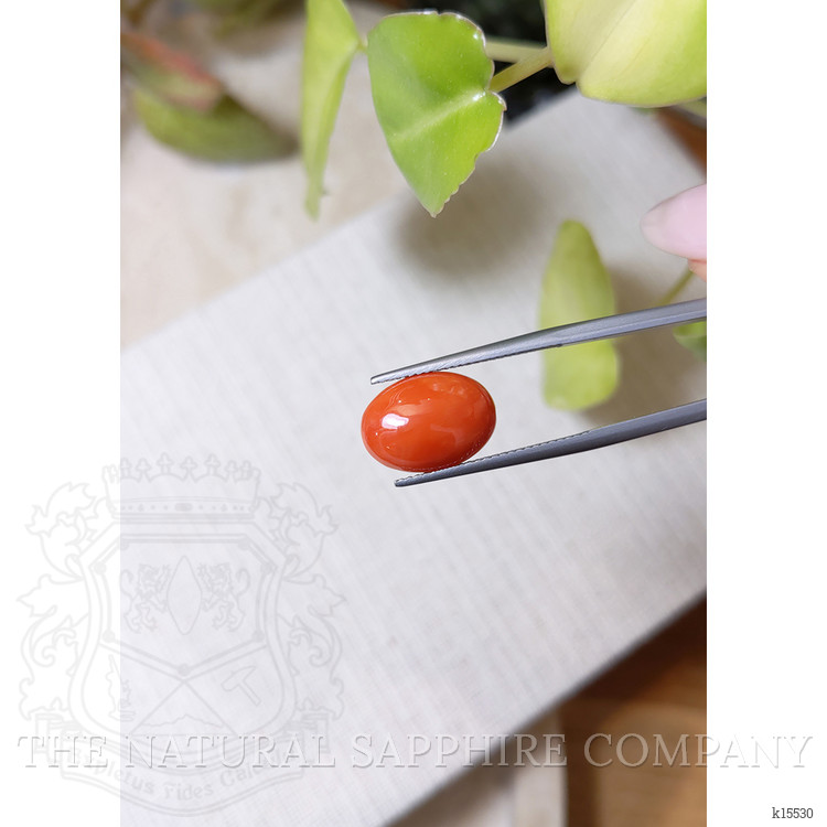 4.27 Ct. Orange Cabochon Coral from Italy
