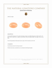 0.73 Ct. Salmon (Orange) Cabochon Coral from Italy Appraisal