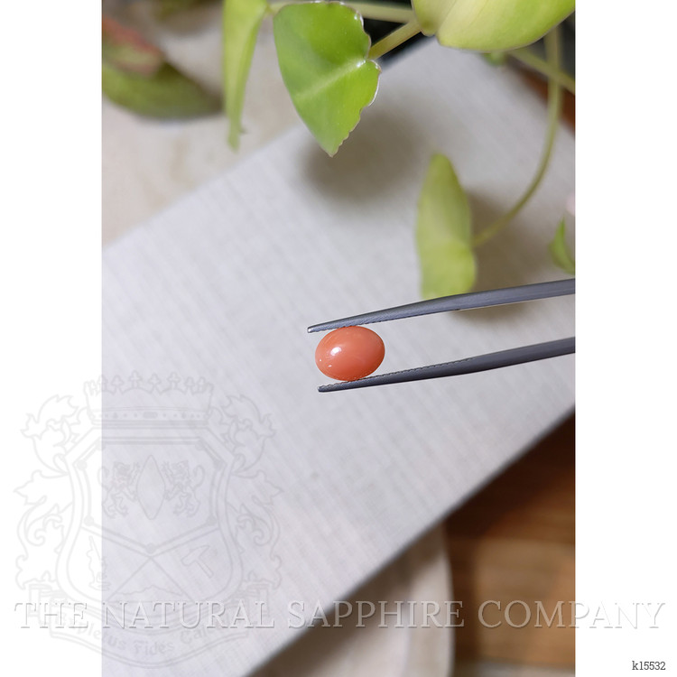 1.43 Ct. Orange Cabochon Coral from Italy