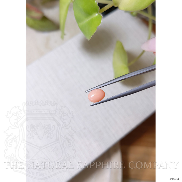 1.04 Ct. Orange Cabochon Coral from Italy
