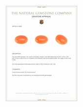 1.06 Ct. Salmon (Orange) Cabochon Coral from Italy Appraisal