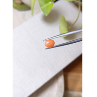 1.06 Ct. Orange Cabochon Coral from Italy Life Style