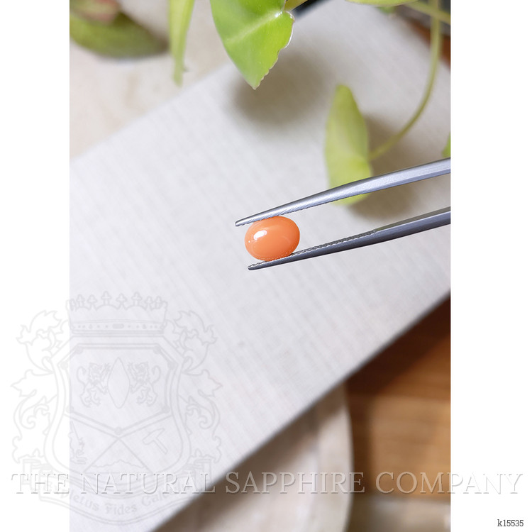 1.06 Ct. Orange Cabochon Coral from Italy