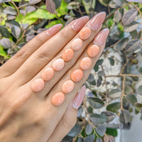 36.04 Ct. Cabochon Coral from Italy Life Style