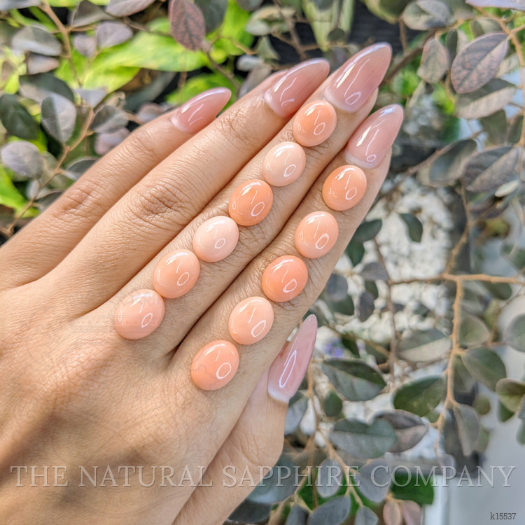 36.04 Ct. Cabochon Coral from Italy