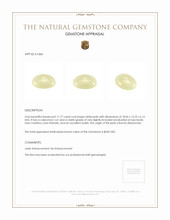 11.77 Ct. Cabochon Jade from Burma (Myanmar) Appraisal