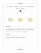 11.77 Ct. Cabochon Jade from Burma (Myanmar) Appraisal