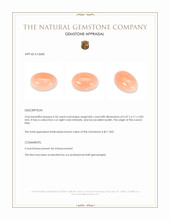 0.56 Ct. Cabochon Coral from Italy Appraisal