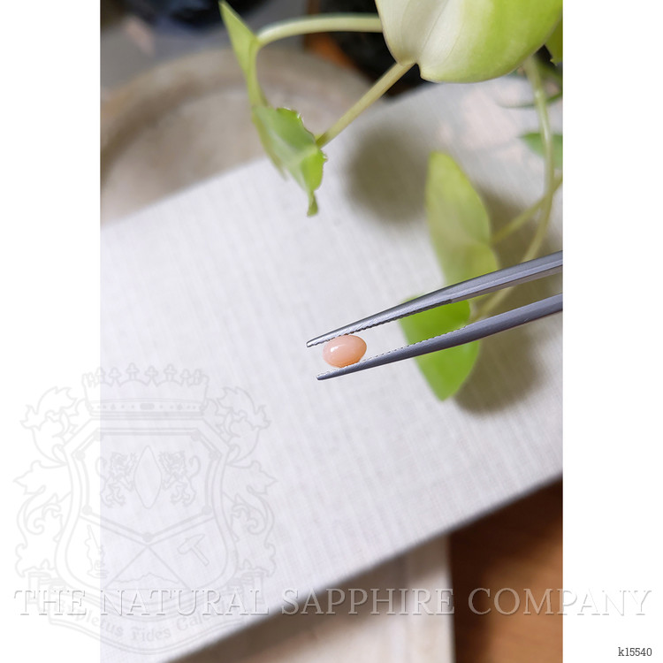 0.56 Ct. Cabochon Coral from Italy