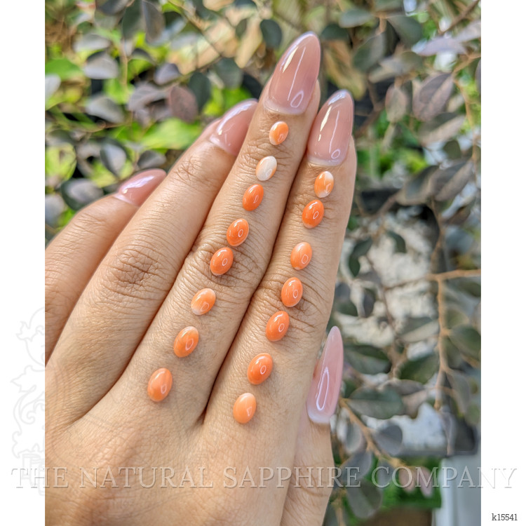 6.56 Ct. Cabochon Coral from Italy