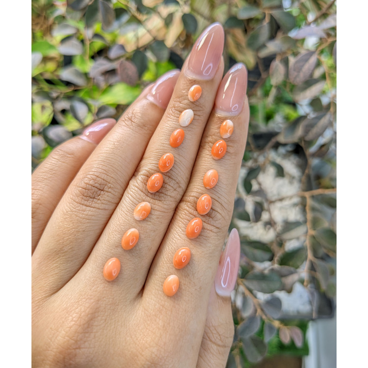 6.56 Ct. Cabochon Coral from Italy