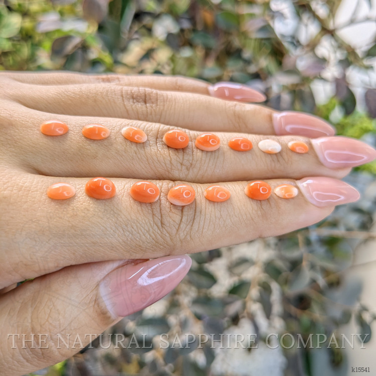 6.56 Ct. Cabochon Coral from Italy