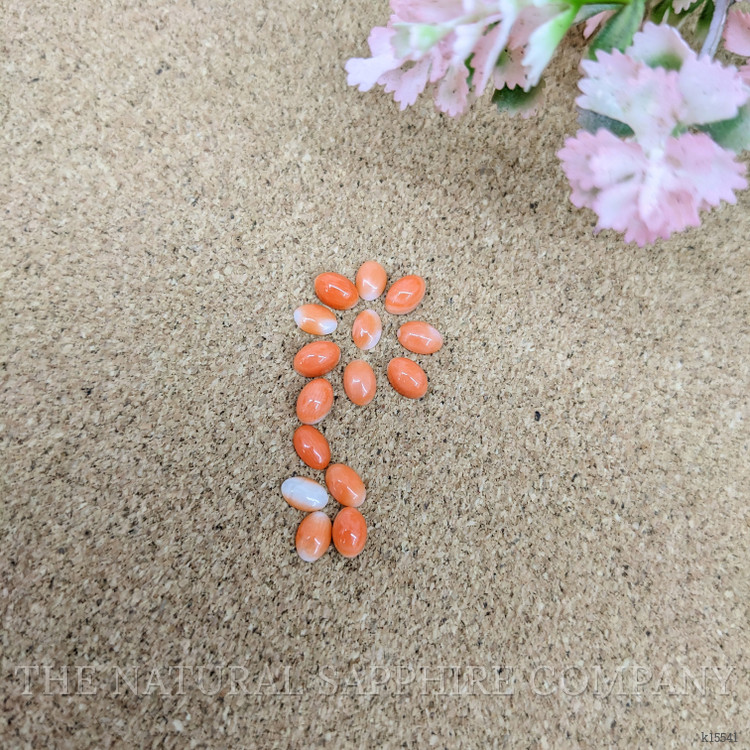 6.56 Ct. Cabochon Coral from Italy