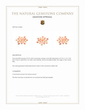 25.22 Ct. Cabochon Coral from Italy Appraisal