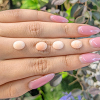 25.22 Ct. Cabochon Coral from Italy Life Style