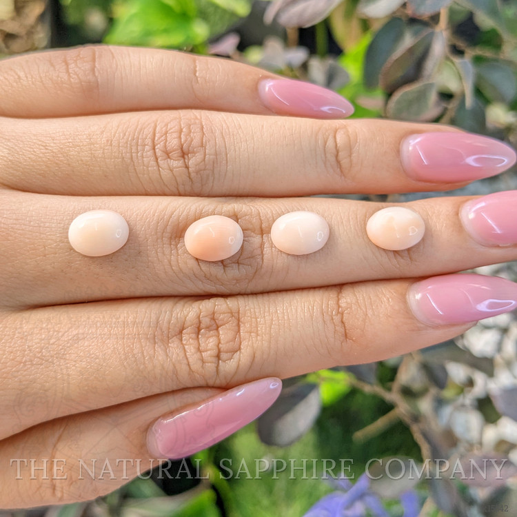 25.22 Ct. Cabochon Coral from Italy