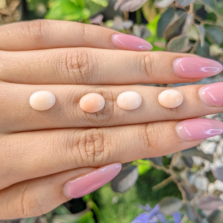 25.22 Ct. Cabochon Coral from Italy