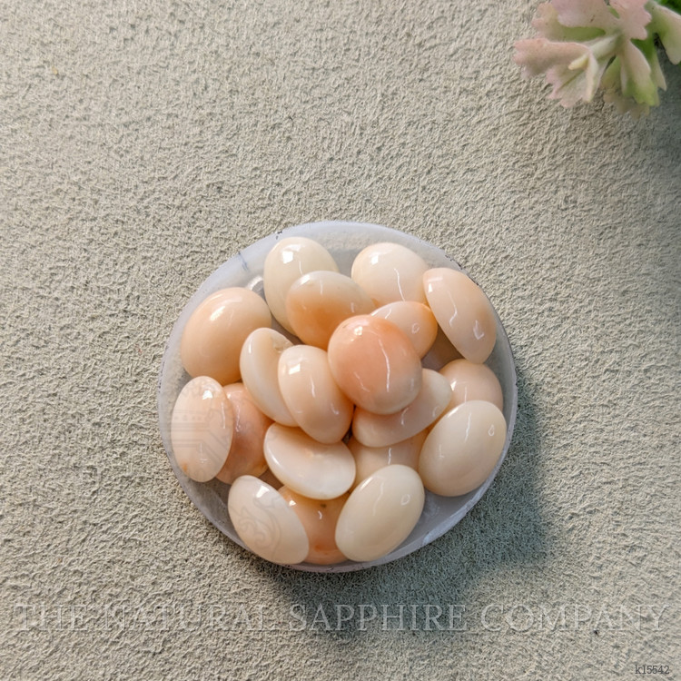 25.22 Ct. Cabochon Coral from Italy