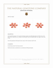 13.76 Ct. Cabochon Coral from Italy Appraisal