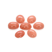 13.76 Ct. Cabochon Coral from Italy Video