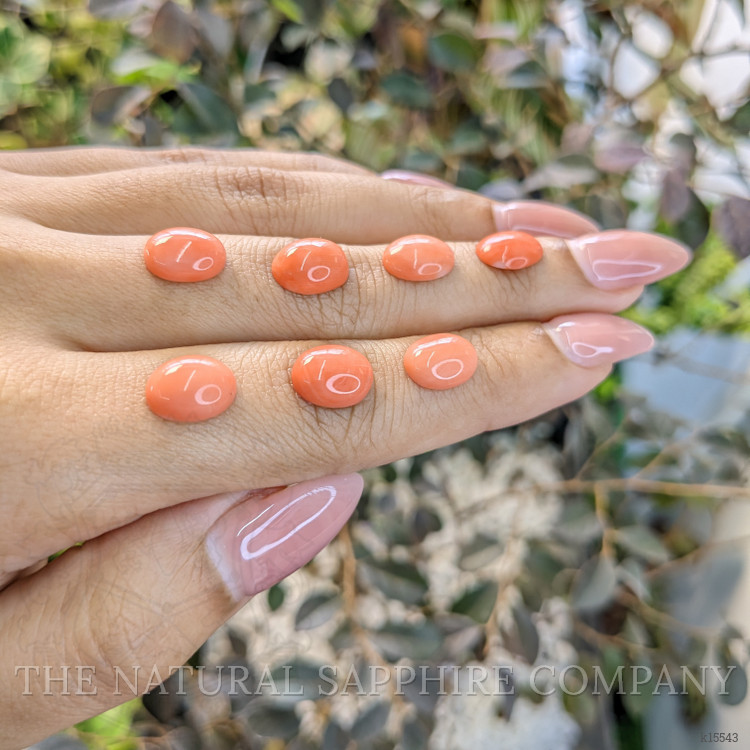 13.76 Ct. Cabochon Coral from Italy