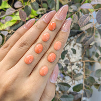 13.76 Ct. Cabochon Coral from Italy Life Style