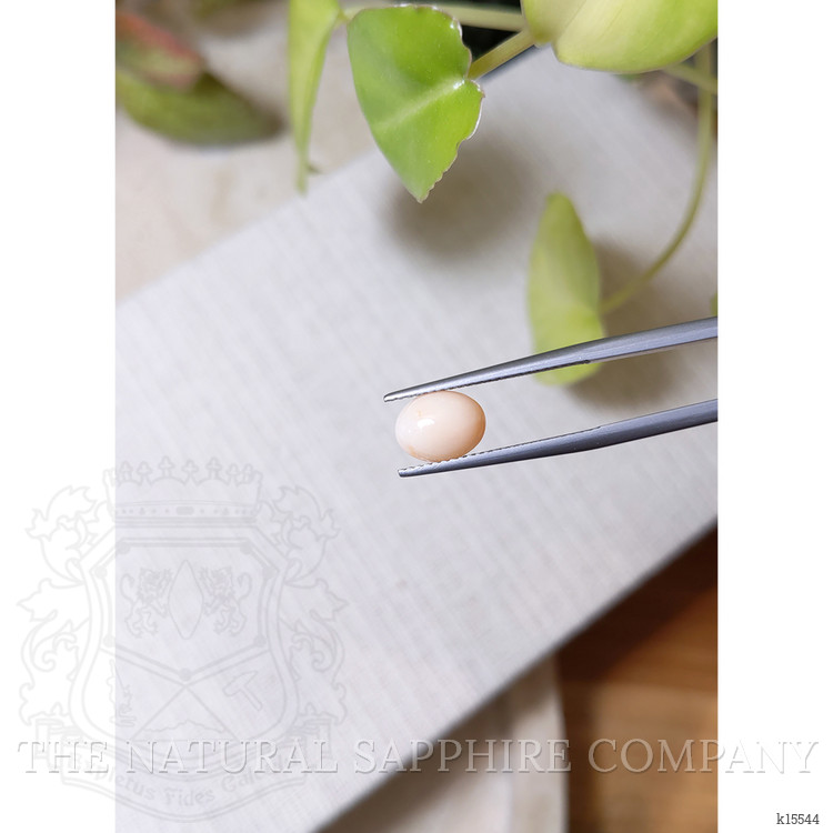 1.53 Ct. Salmon and White Cabochon Coral from Italy