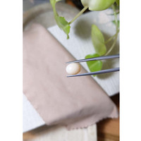 2.68 Ct. Cabochon Coral from Italy Life Style