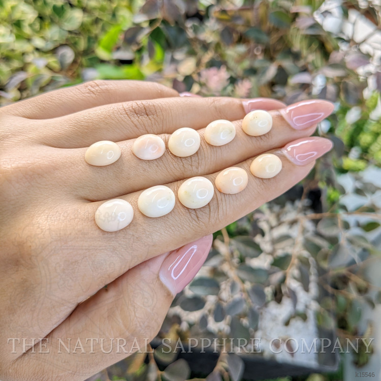 30.57 Ct. Cabochon Coral from Italy