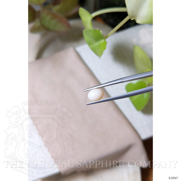 1.35 Ct. Cabochon Coral from Italy