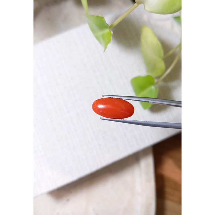 4.02 Ct. Cabochon Coral from Italy