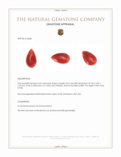 0.45 Ct. Cabochon Coral from Italy Appraisal