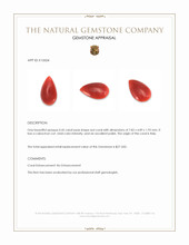 0.45 Ct. Cabochon Coral from Italy Appraisal