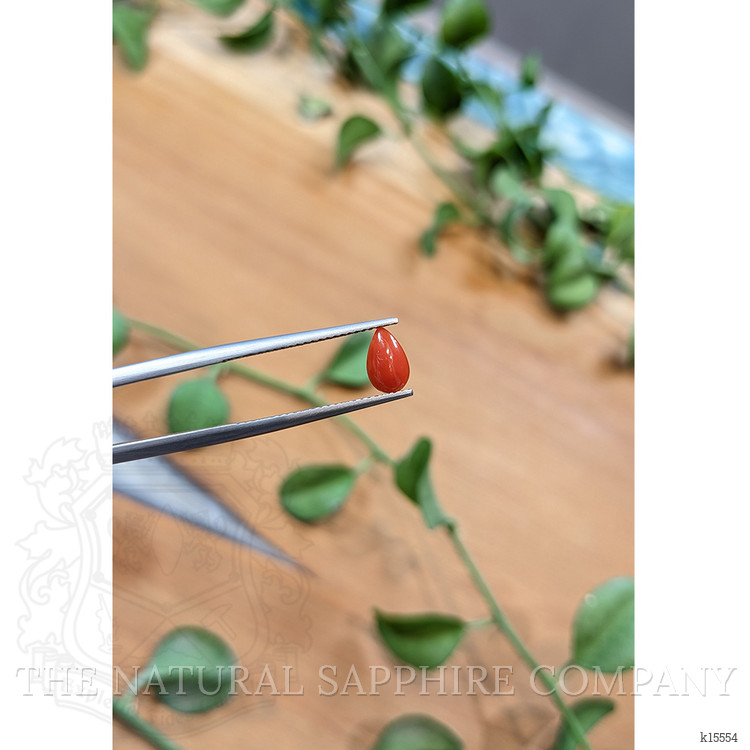 0.45 Ct. Cabochon Coral from Italy