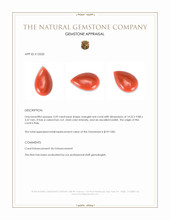 3.29 Ct. Cabochon Coral from Italy Appraisal