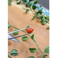 3.29 Ct. Cabochon Coral from Italy Life Style